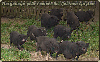 Vor der Tour in den Minifreizeitpark das Tiergehege im hauseigenen Tierpark entdecken Vor der Tour in den Minifreizeitpark das Tiergehege im hauseigenen Tierpark entdecken